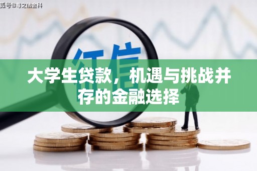 中方大学生贷款，机遇与挑战并存的金融选择