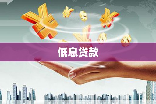 中方低息贷款