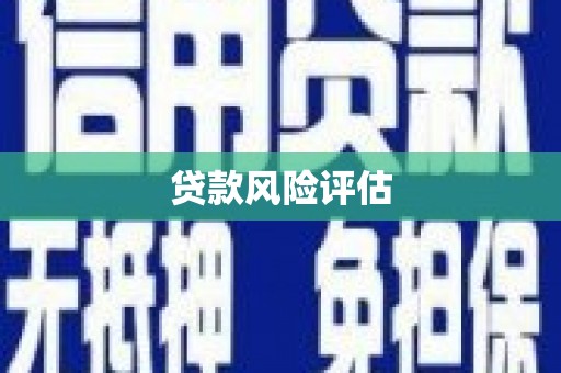 中方贷款风险评估