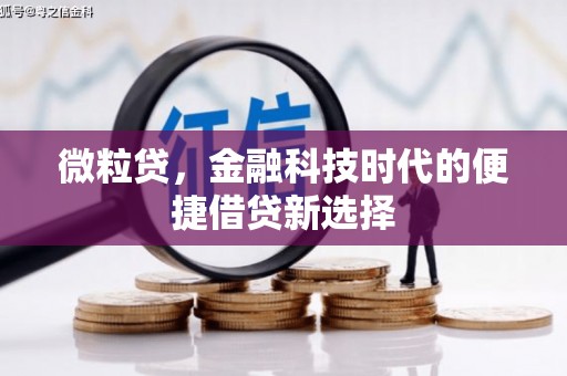 中方微粒贷，金融科技时代的便捷借贷新选择