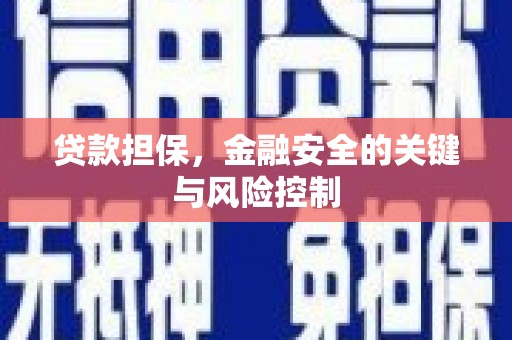 中方贷款担保，金融安全的关键与风险控制