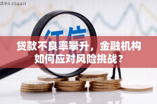 中方贷款不良率攀升，金融机构如何应对风险挑战？