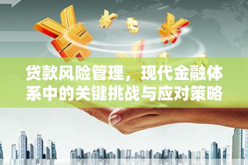 中方贷款风险管理，现代金融体系中的关键挑战与应对策略