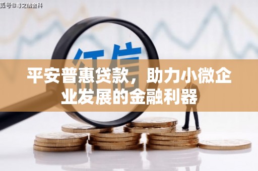 中方平安普惠贷款，助力小微企业发展的金融利器