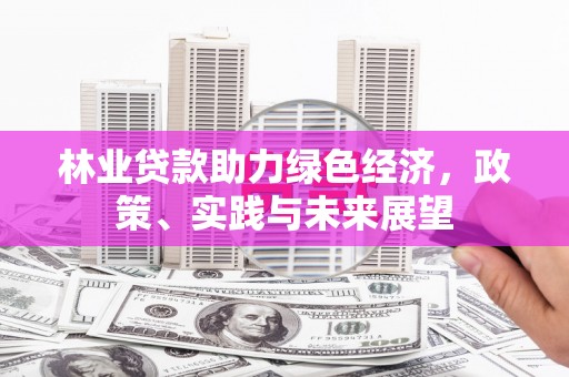 中方林业贷款助力绿色经济，政策、实践与未来展望