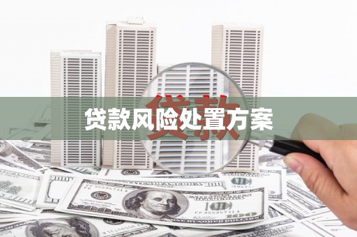 中方贷款风险处置方案