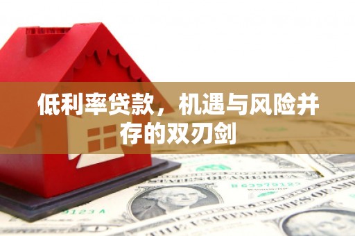 中方低利率贷款，机遇与风险并存的双刃剑