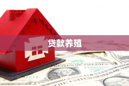 中方贷款养殖