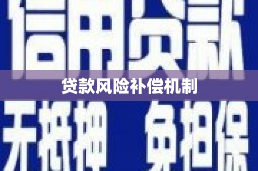 中方贷款风险补偿机制