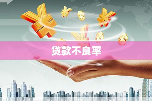 中方贷款不良率