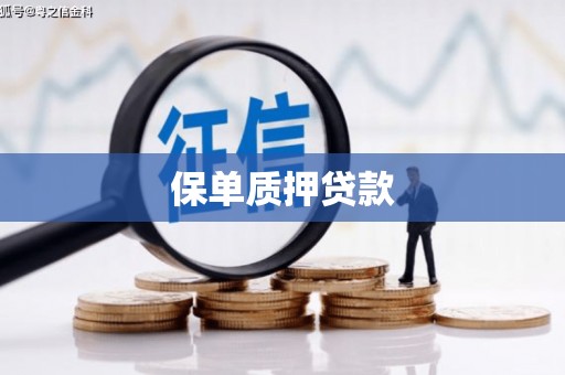 中方保单质押贷款