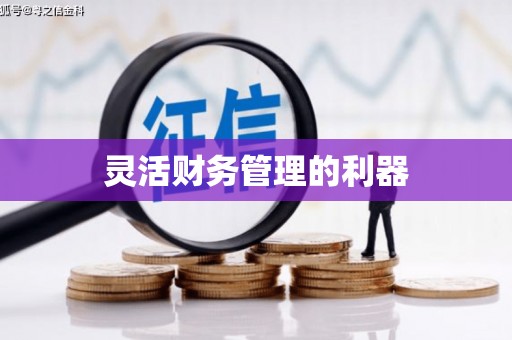 中方灵活财务管理的利器