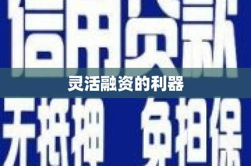 中方灵活融资的利器