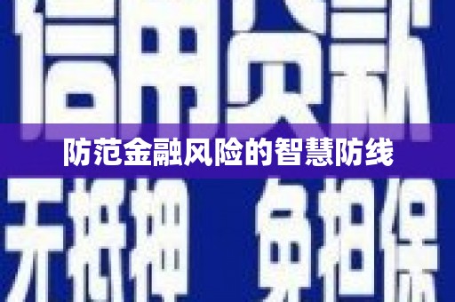 中方防范金融风险的智慧防线
