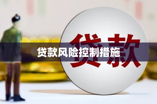 中方贷款风险控制措施