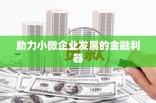 中方助力小微企业发展的金融利器