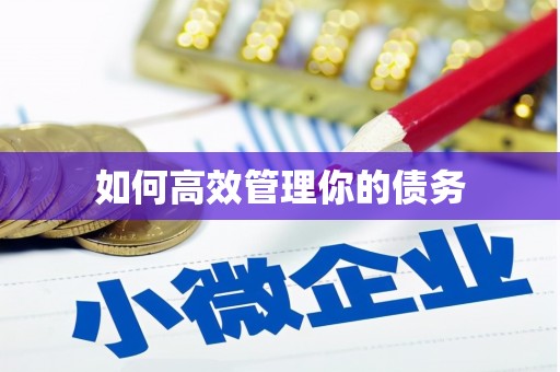 中方如何高效管理你的债务