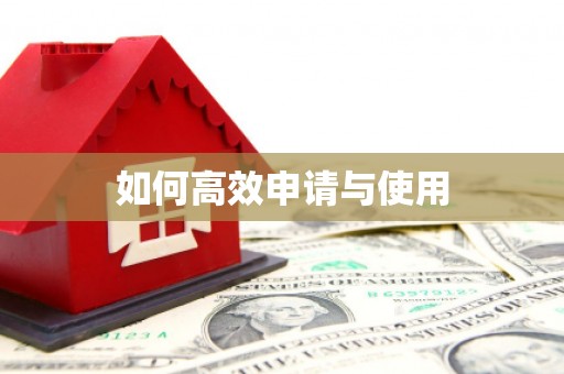 中方如何高效申请与使用