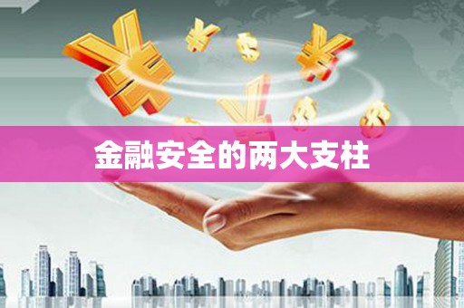 中方金融安全的两大支柱