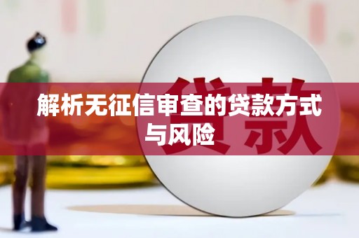 中方解析无征信审查的贷款方式与风险