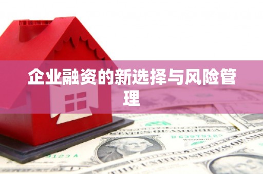 中方企业融资的新选择与风险管理
