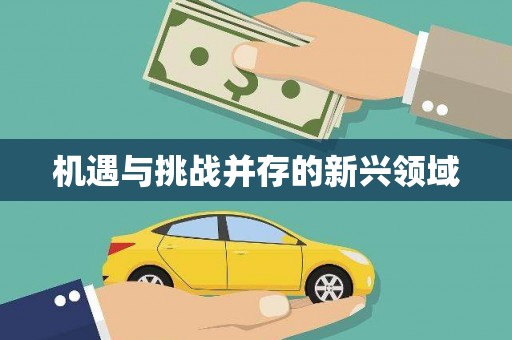 中方机遇与挑战并存的新兴领域