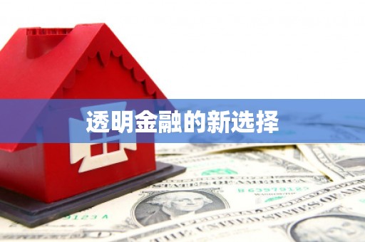 中方透明金融的新选择