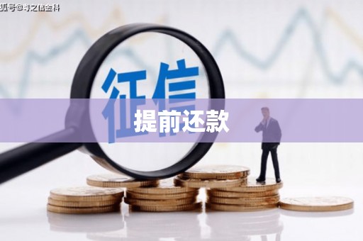 中方提前还款