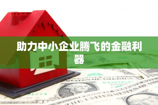 中方助力中小企业腾飞的金融利器