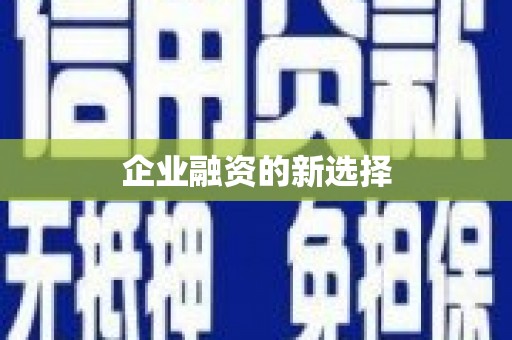 中方企业融资的新选择