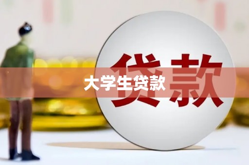 中方大学生贷款