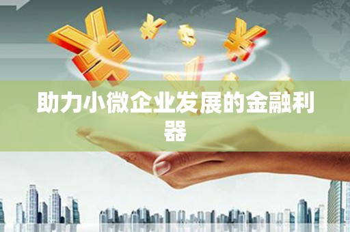 中方助力小微企业发展的金融利器