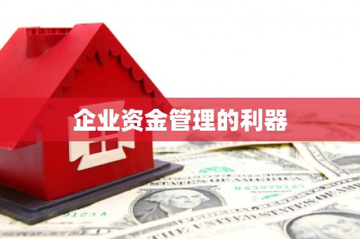 中方企业资金管理的利器