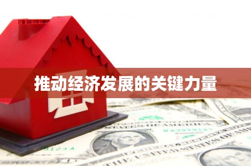 中方推动经济发展的关键力量