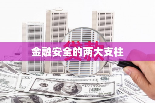 中方金融安全的两大支柱