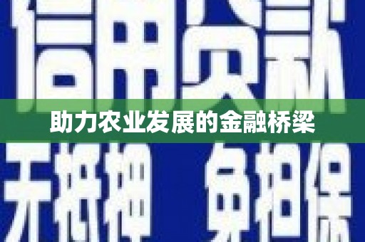中方助力农业发展的金融桥梁
