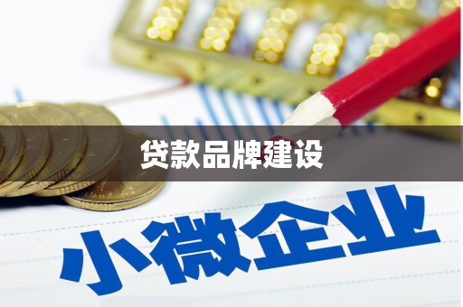 中方贷款品牌建设