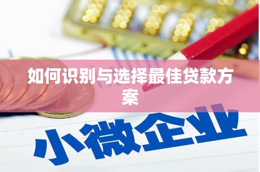 中方如何识别与选择最佳贷款方案