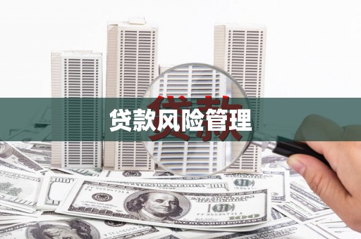 中方贷款风险管理