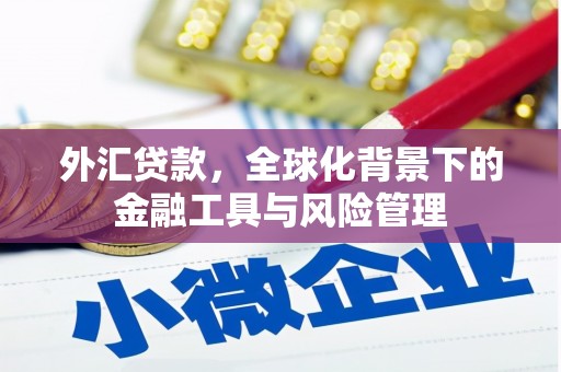 中方外汇贷款，全球化背景下的金融工具与风险管理