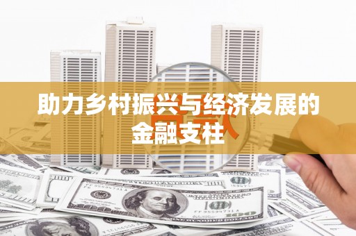 中方助力乡村振兴与经济发展的金融支柱