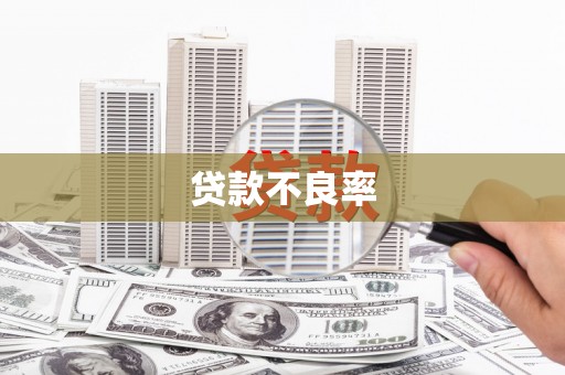 中方贷款不良率
