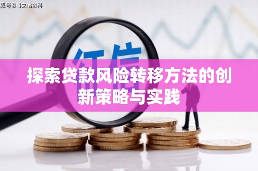 中方探索贷款风险转移方法的创新策略与实践
