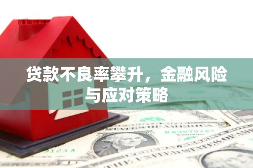 中方贷款不良率攀升，金融风险与应对策略