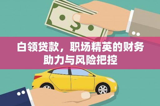 中方白领贷款，职场精英的财务助力与风险把控