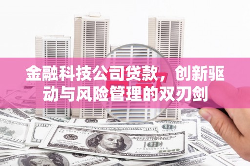 中方金融科技公司贷款，创新驱动与风险管理的双刃剑