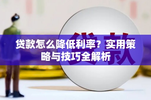 中方贷款怎么降低利率？实用策略与技巧全解析