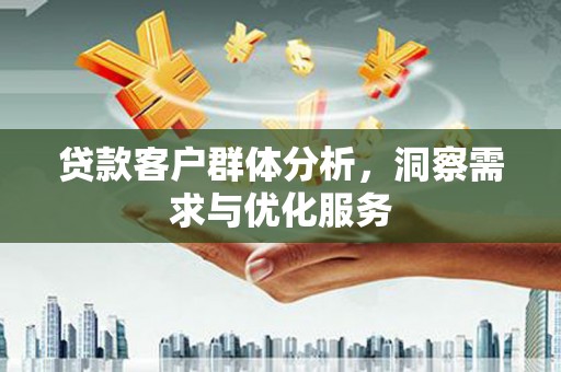 中方贷款客户群体分析，洞察需求与优化服务