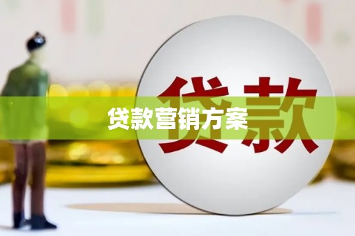 中方贷款营销方案
